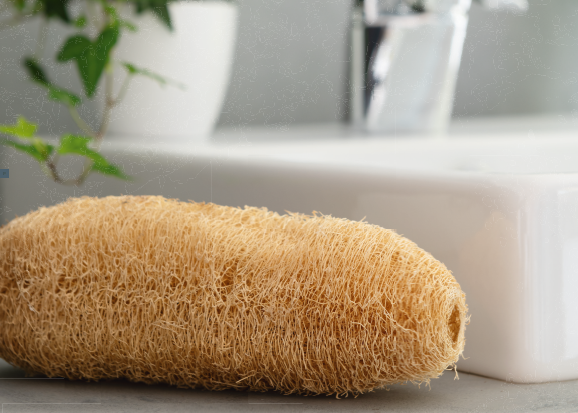 Loofah